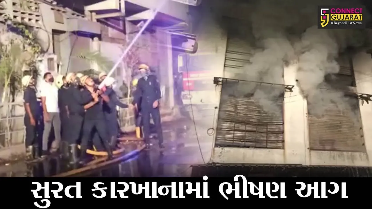 સુરત : ઉધનામાં ઇલેકટ્રીક સ્વીચ બનાવતાં કારખાનામાં ભીષણ આગ