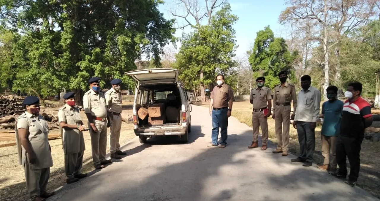 ડાંગ : કોયલીપાડા જંગલ વિસ્તારમાંથી વન વિભાગની ટીમે ગેરકાયદેસર લઇ જવાતો સાગી લાકડાનો જથ્થો ઝડપી પાડ્યો