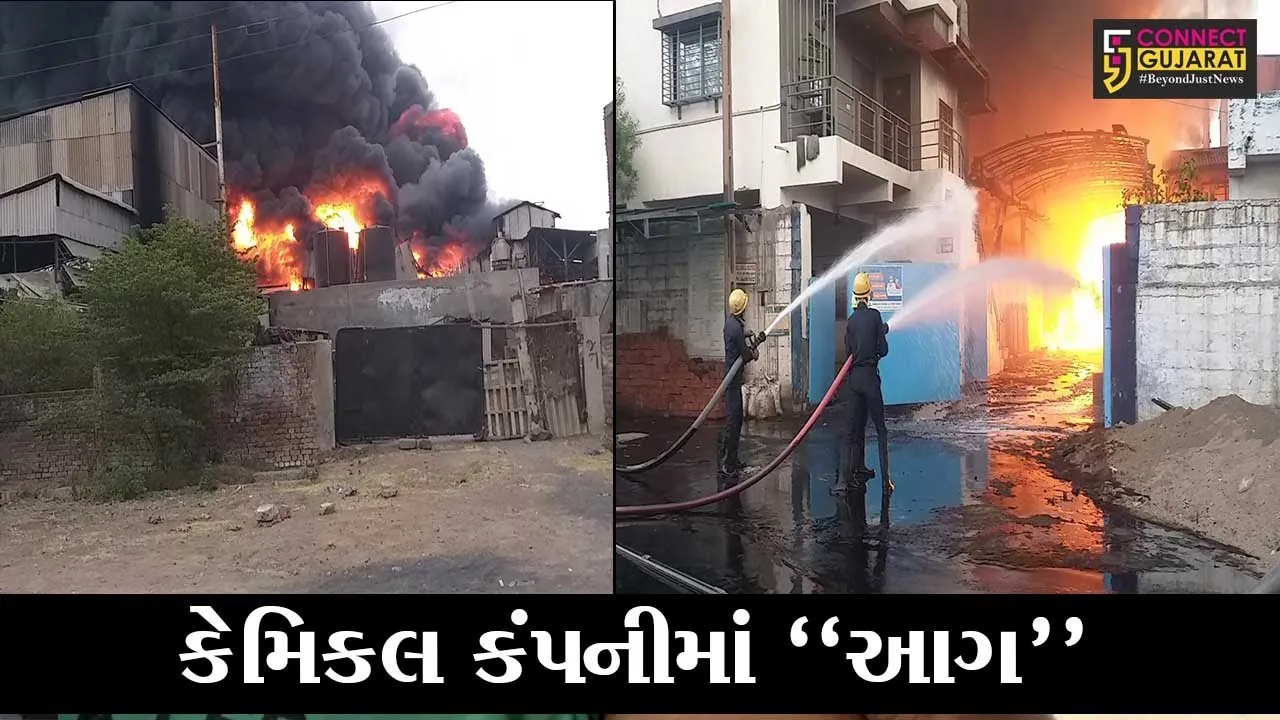 ભરૂચ : પાનોલી GIDCની કેમિકલ કંપનીમાં લાગી ભીષણ આગ, લોકોમાં મચી ભારે અફરાતફરી