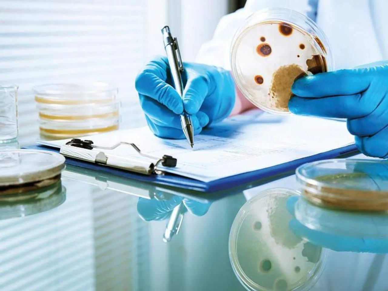 સુરેન્દ્રનગર : મ્યુકરમાઇકોસિસ રોગથી જીલ્લામાં થયું પહેલું મોત, પાટડીના 58 વર્ષીય આધેડનું સારવાર દરમ્યાન મોત નીપજ્યું