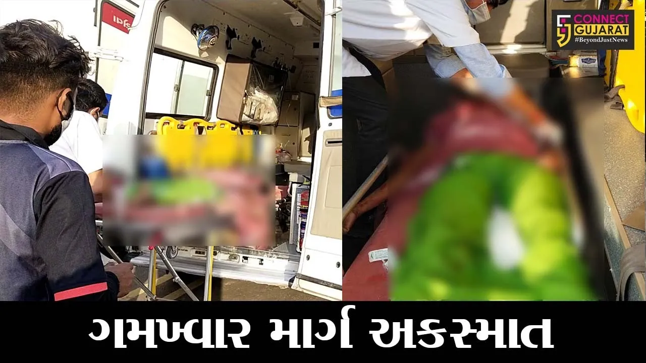 ભરૂચ: હાંસોટના સુણેવ ગામ નજીક ટ્રકની અફેફેટે 3 લોકોના મોત