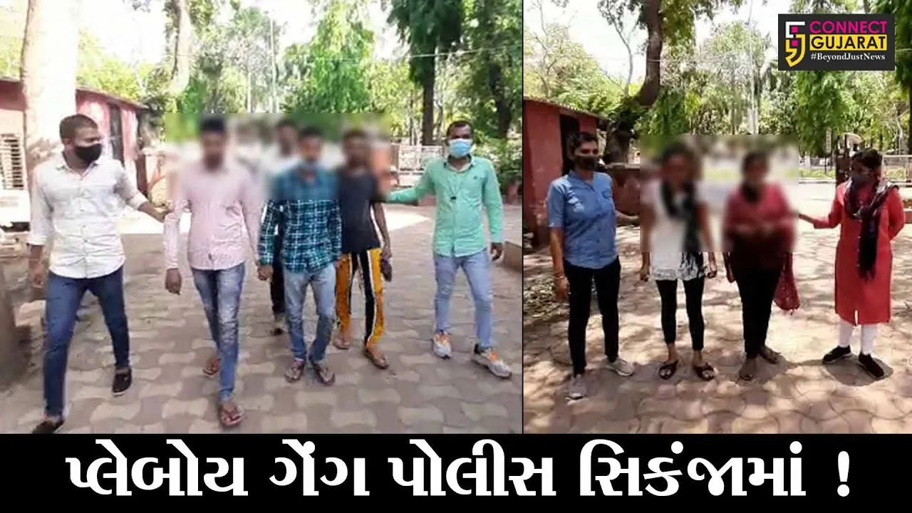 અમદાવાદ: હાઈ પ્રોફાઈલ મહિલાઓ સાથે શારીરિક સંબંધ બાંધી પૈસા કમાવાની લાલચ આપી ઠગાઇ કરતી ટોળકી ઝડપાય !
