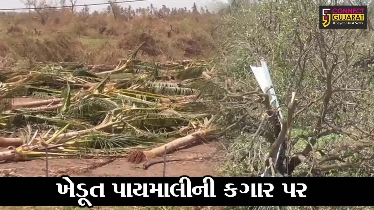 ગીર સોમનાથ : તાઉતે વાવાઝોડાએ સર્જી ભારે તારાજી, ખેતી-બાગાયતી પાકોના નુકશાન સામે સર્વેની કામગીરી શરૂ