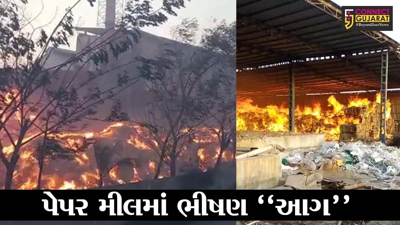 વડોદરા : લાકોદરાની પેપર મીલમાં ફાટી નીકળી હતી ભીષણ આગ, ફાયર ફાઇટરોએ આગ પર મેળવ્યો કાબુ