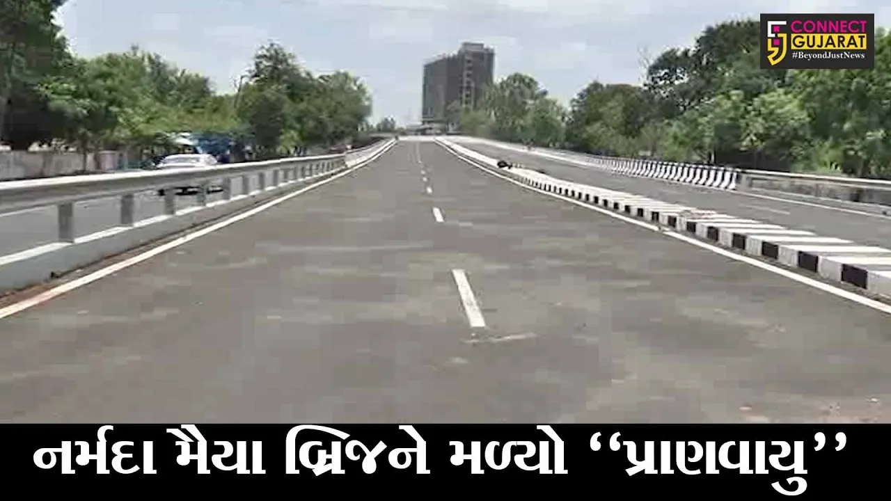 કોરોનાએ અટકાવી હતી નર્મદા મૈયા બ્રિજની કામગીરી, જુઓ શું છે ચોંકાવનારૂ કારણ