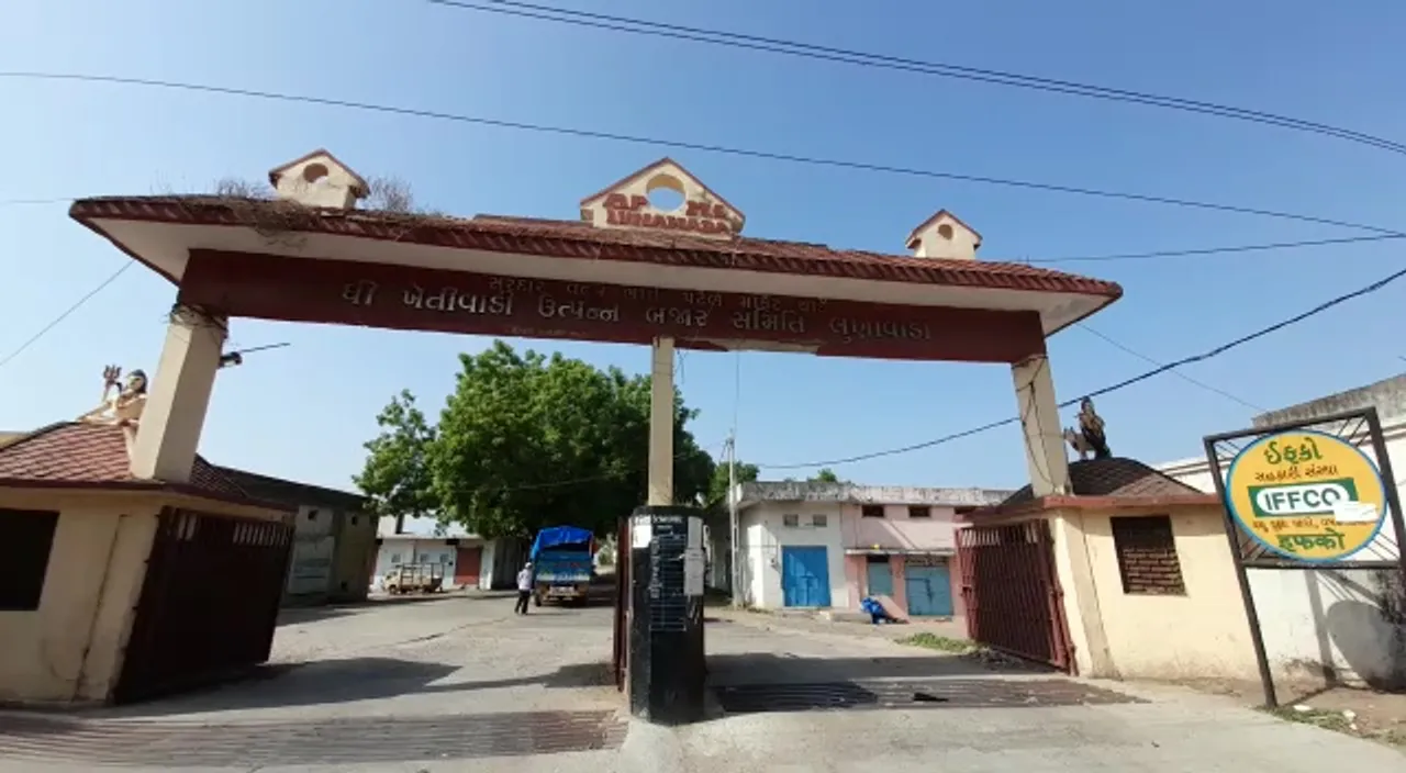 મહીસાગર : લુણાવાડા APMC માર્કેટમાં ઘઉ-ચણાની ટેકાના ભાવે ખરીદી શરૂ, ખેડૂતોમાં ખુશીનો માહોલ