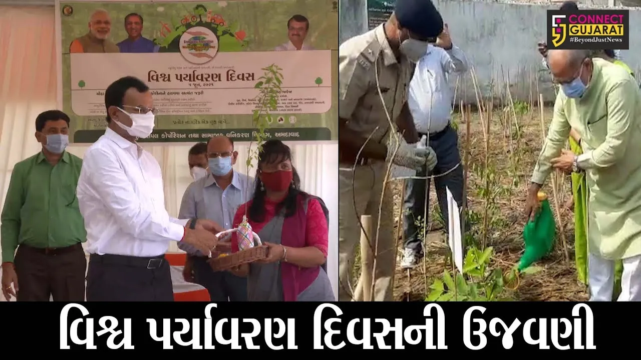 વિશ્વ પર્યાવરણ દિવસની વૃક્ષારોપણ સાથે ઉજવણી, વૃક્ષોનું જતન થશે ખરૂ ?