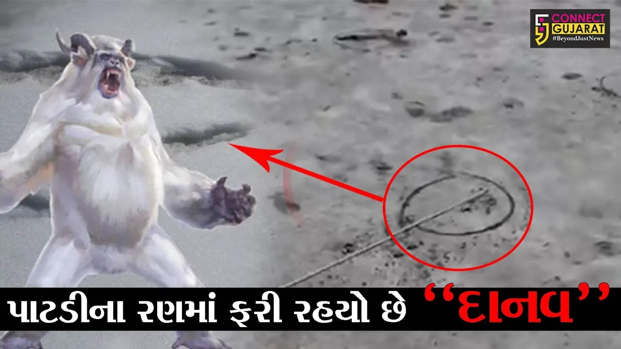 સુરેન્દ્રનગર : પાટડીના રણમાં ફરી રહયો છે "દાનવ", જુઓ અગરિયાઓમાં કેમ છે ભય