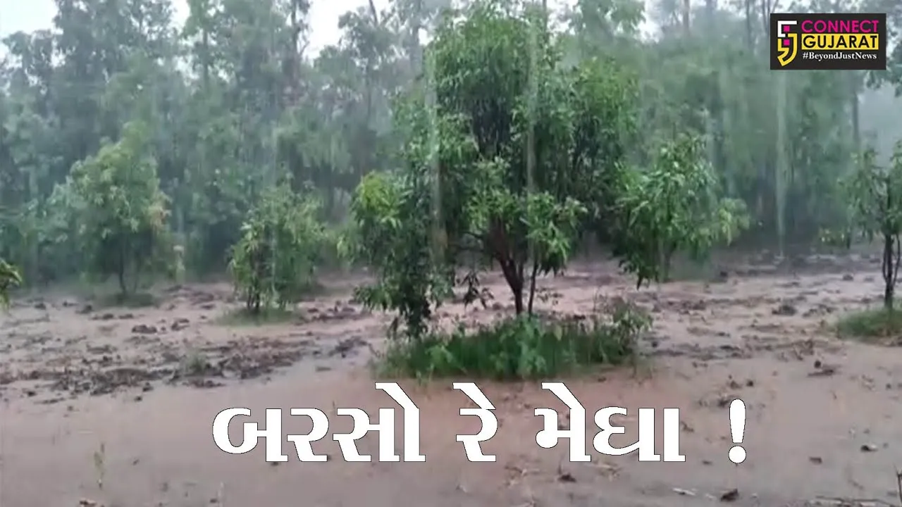 વલસાડ: નૈરૂત્યના ચોમાસાનું આગમન, ઠેર ઠેર ભારે વરસાદ વરસ્યો