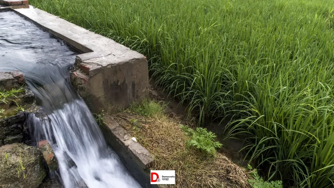 बिहार का गन्ना उद्योग