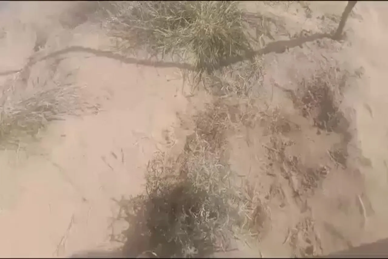 Jaisalmer Viral Video 