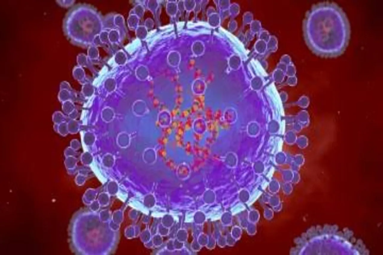 HMPV Virus 