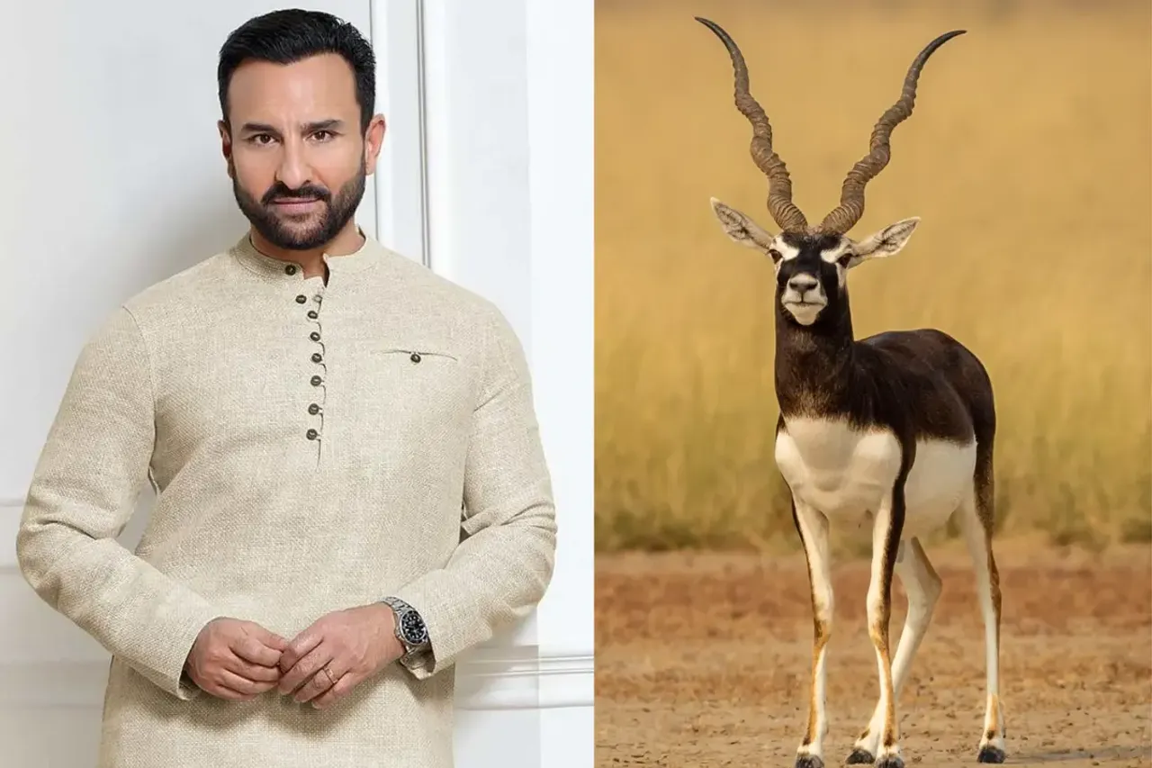 Saif Ali Khan 