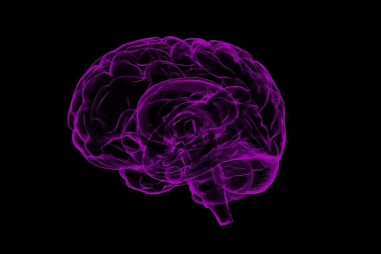 schizophrenia