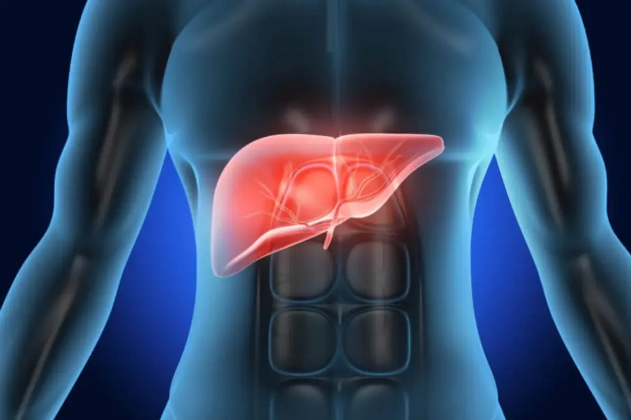 Liver Health