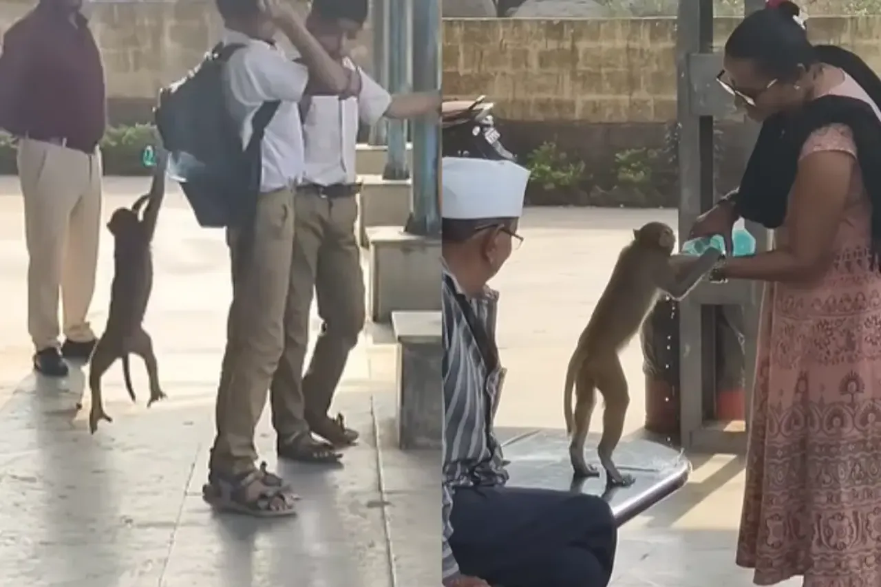 Viral Video