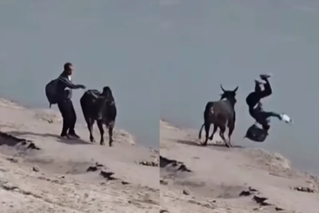 Viral Video
