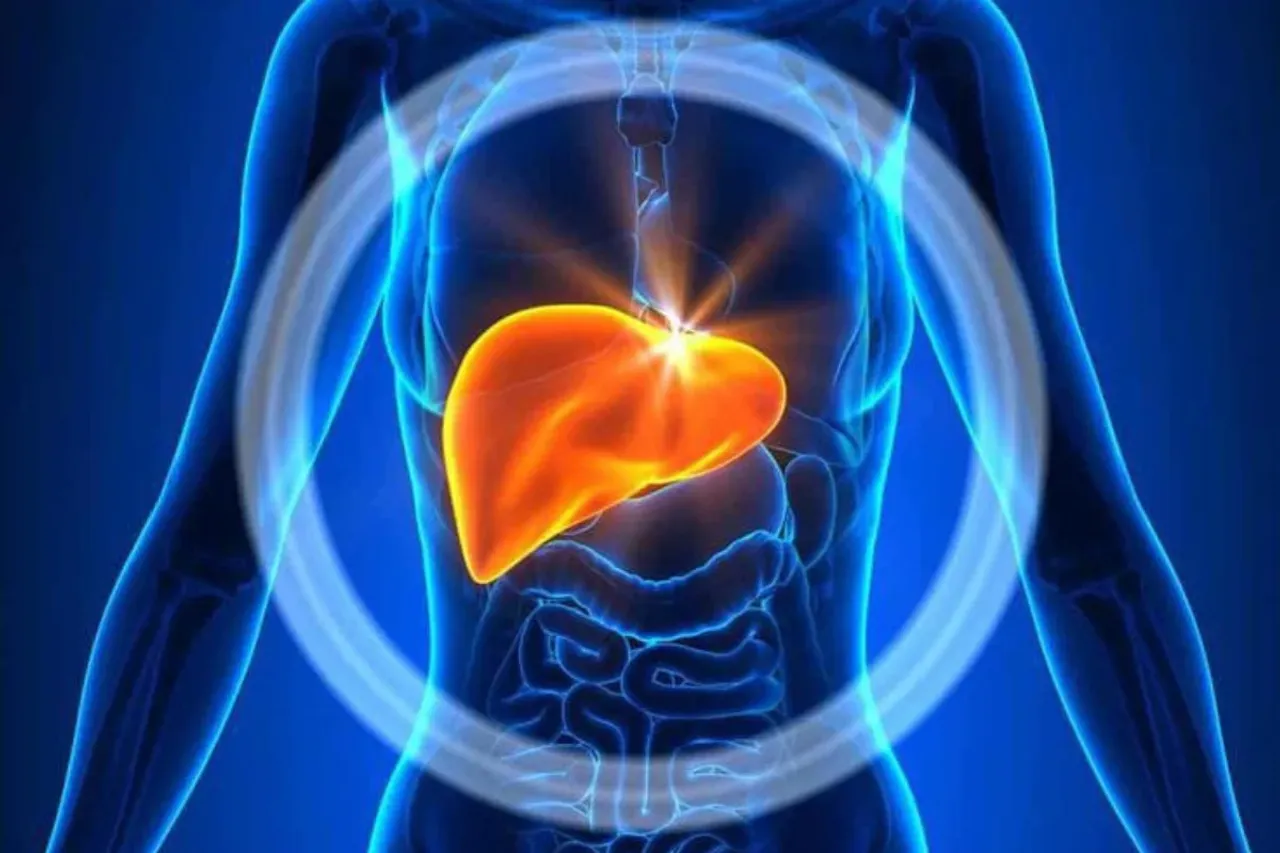 Fatty Liver