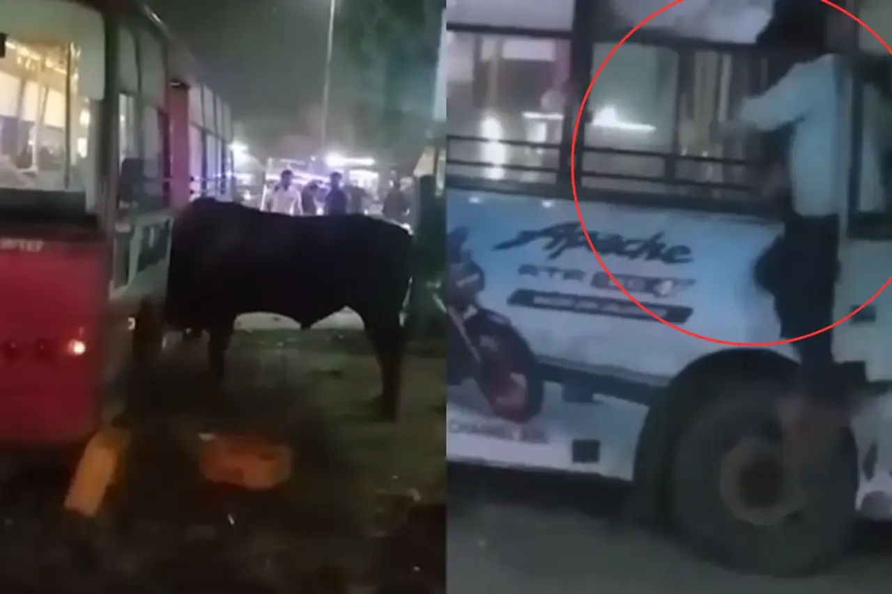 Jaipur Viral Video
