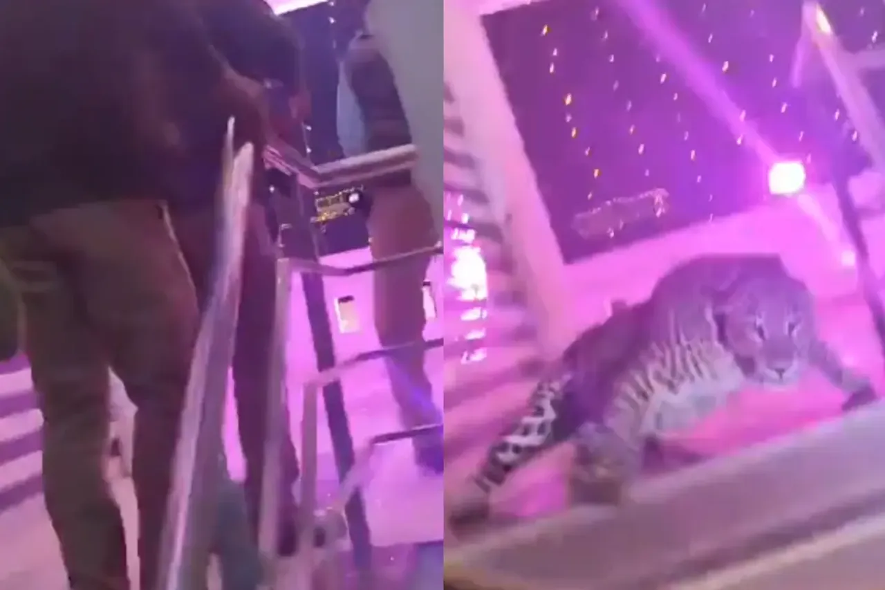 Lucknow Viral Video