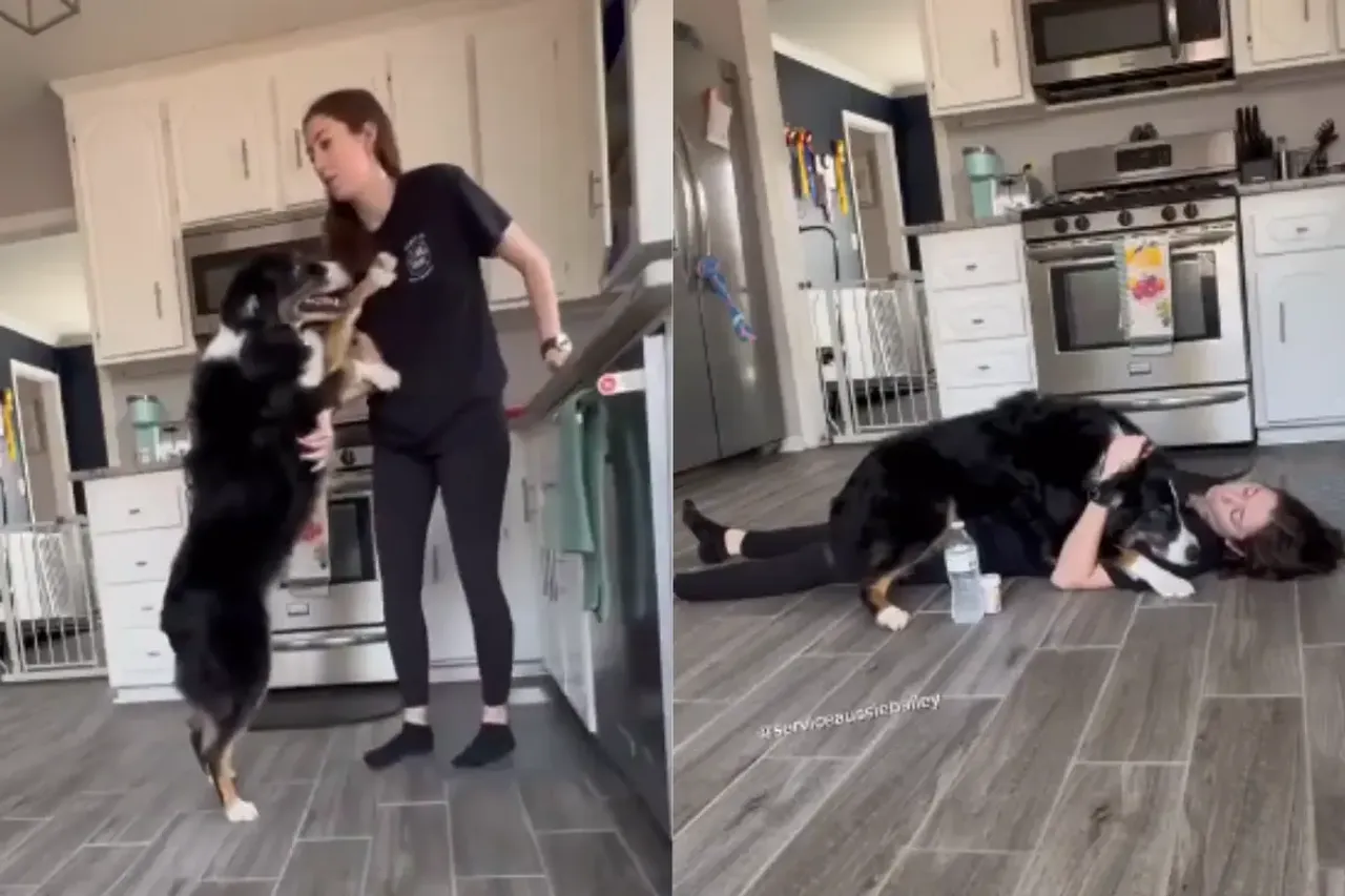 Viral Video