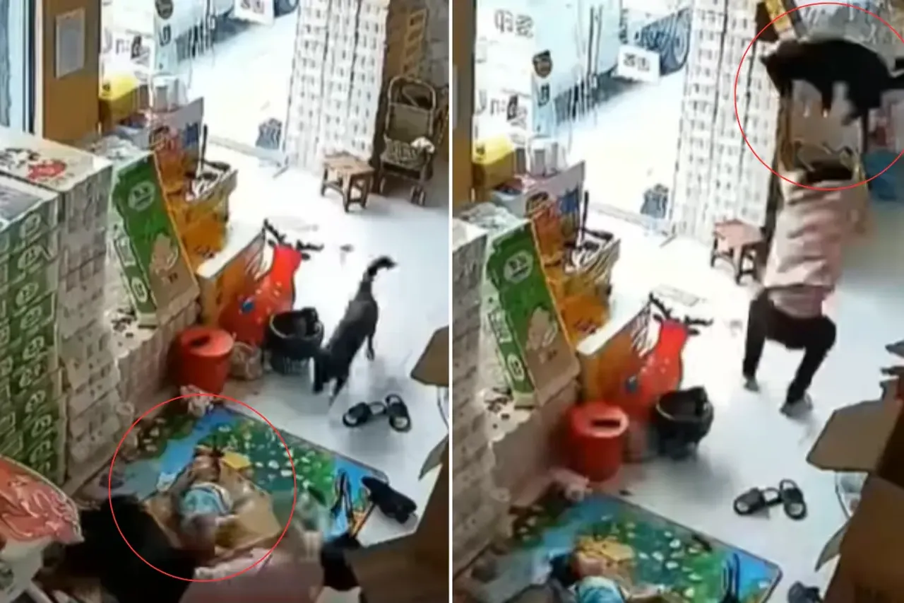 Viral Video 