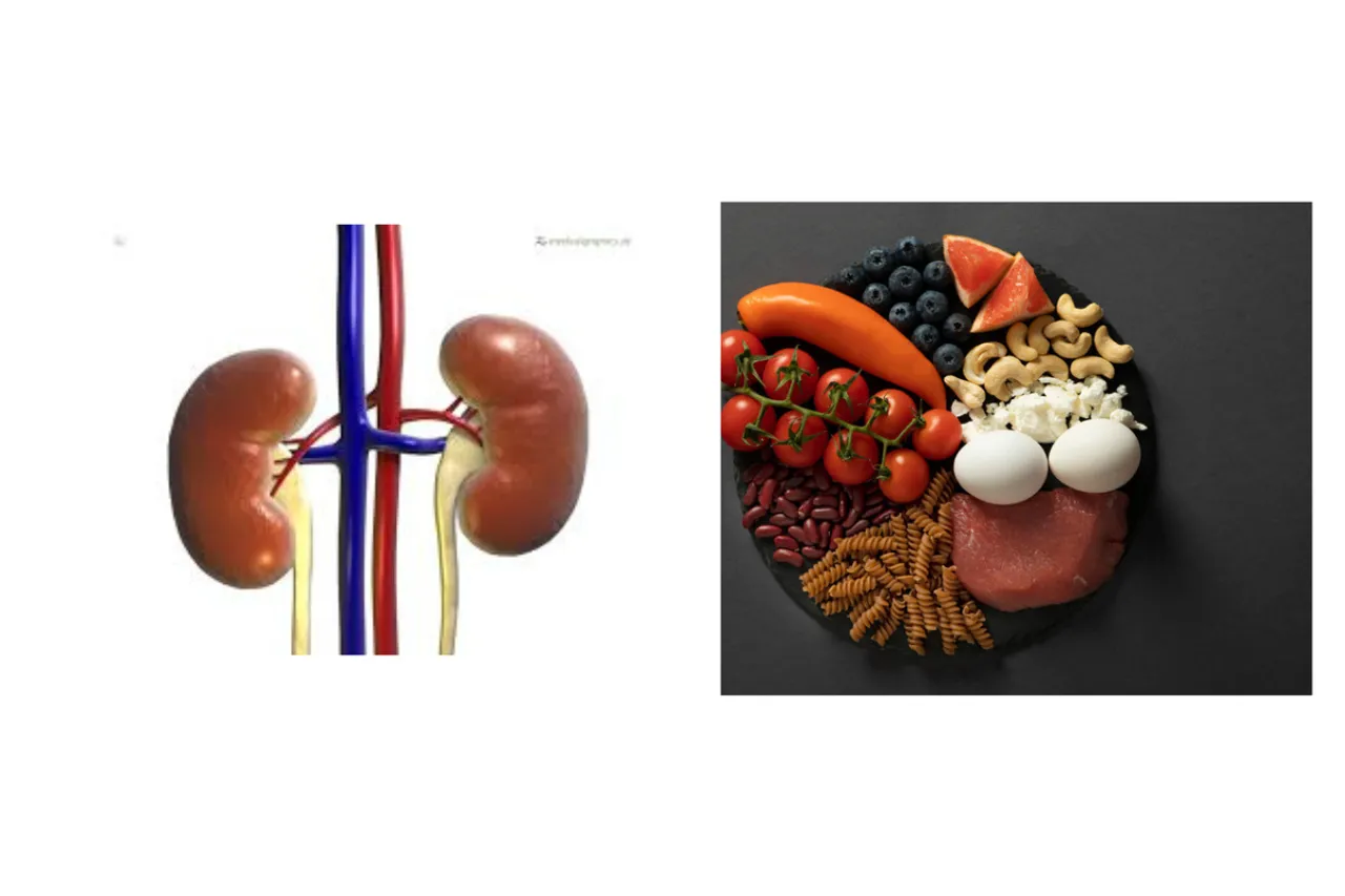 Kidney health 