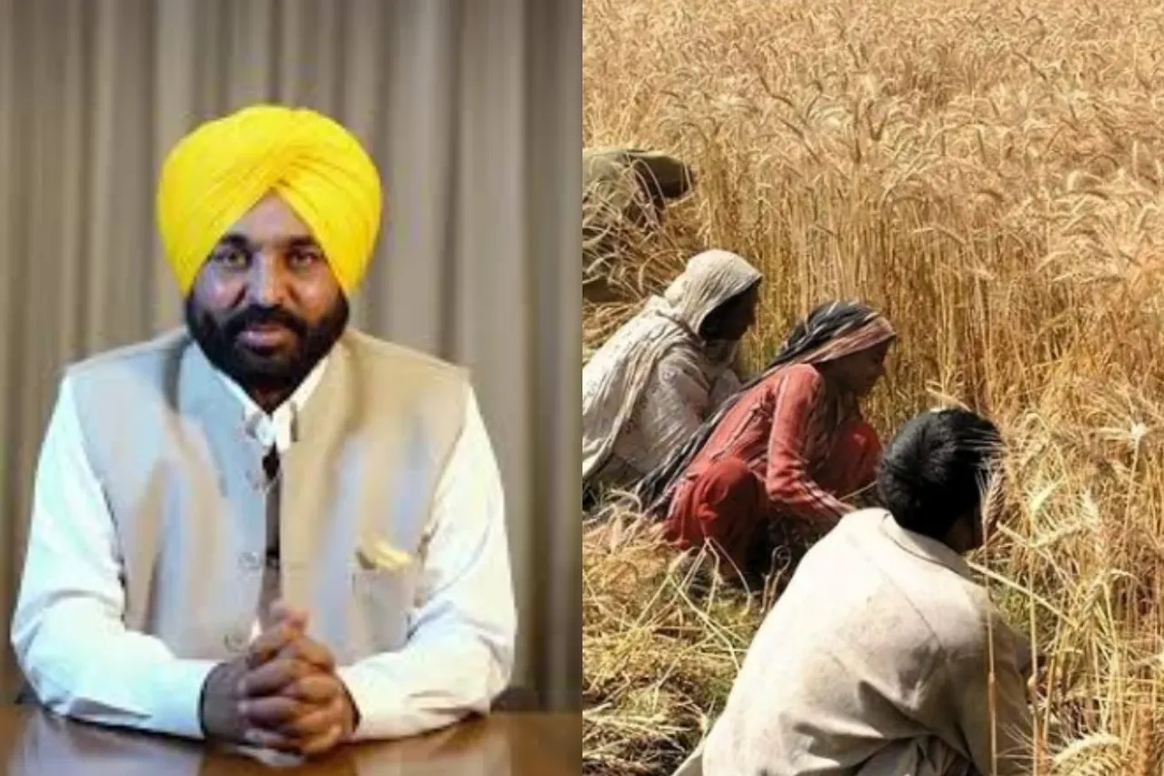 Punjab News