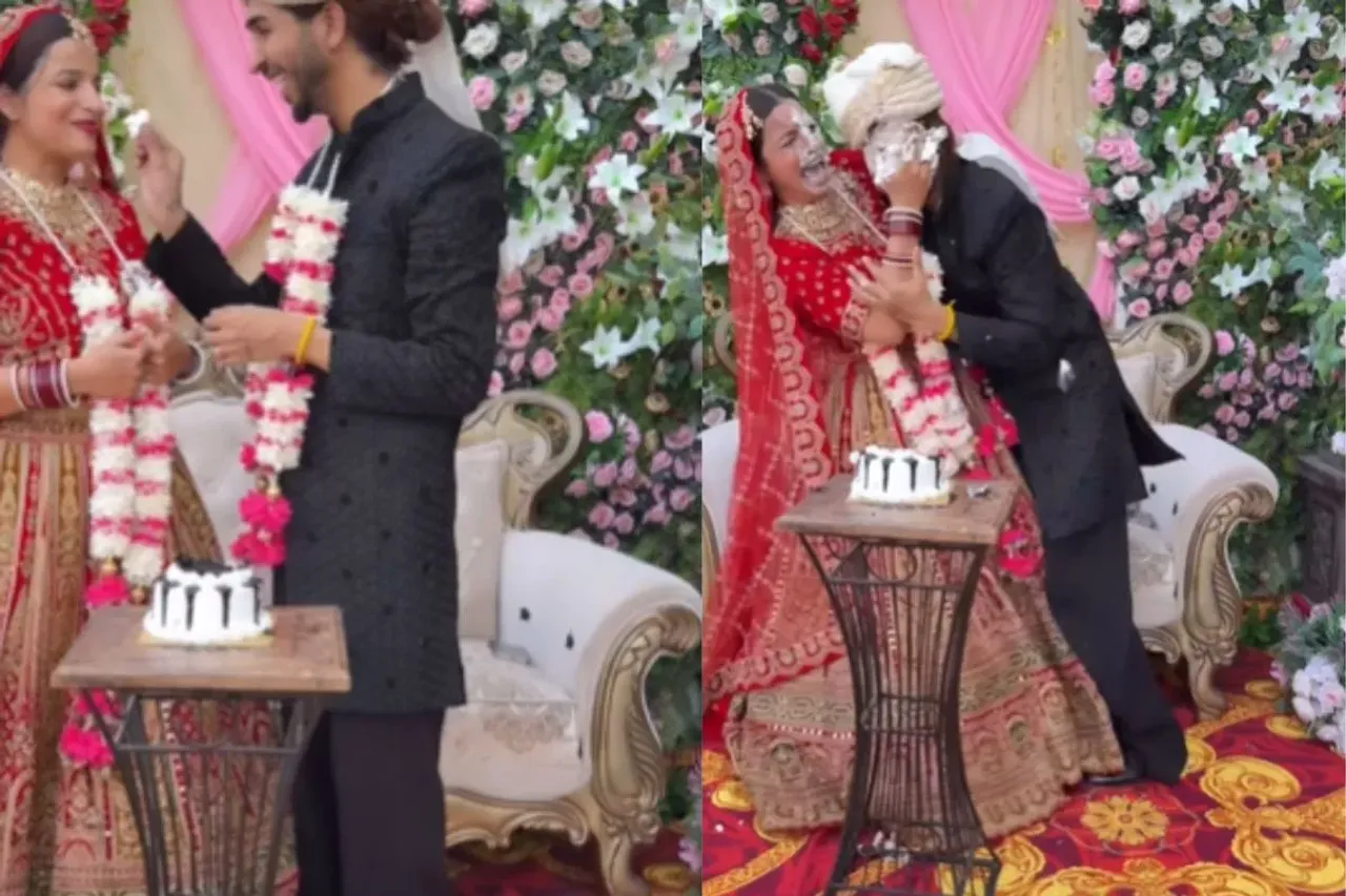 Groom and bride cutting cake 