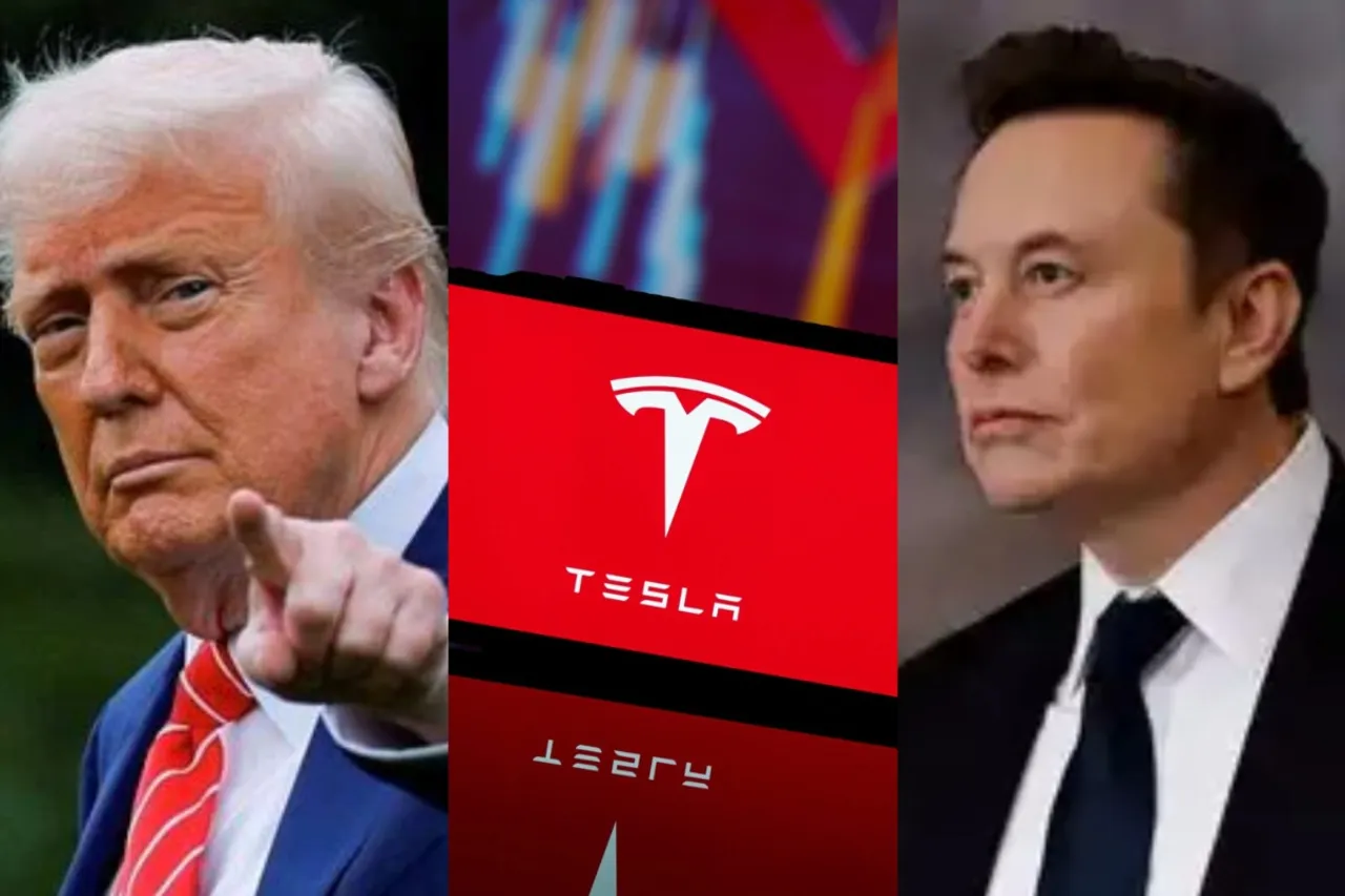 Donald Trump, Elon Musk, Tesla Crash