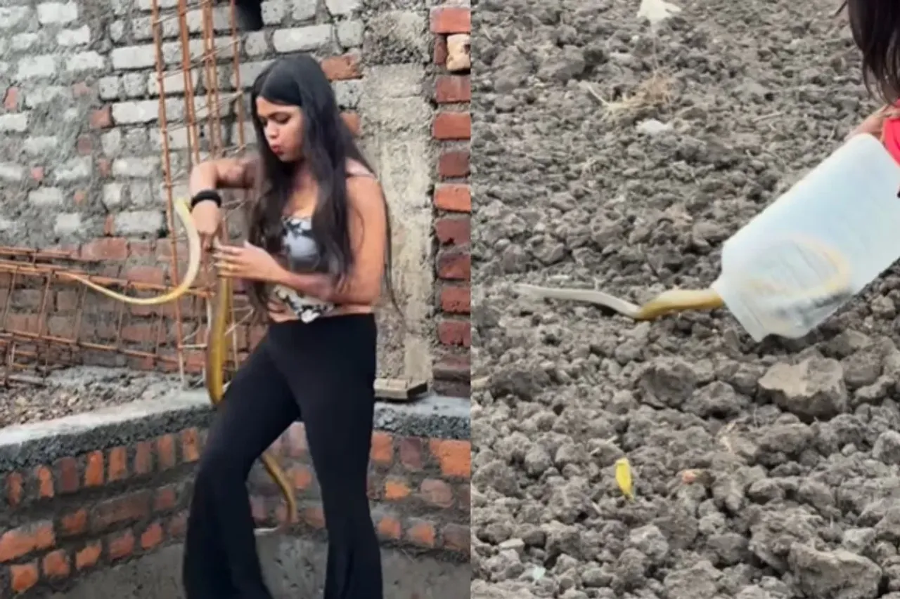 Girl saving the life of a snake