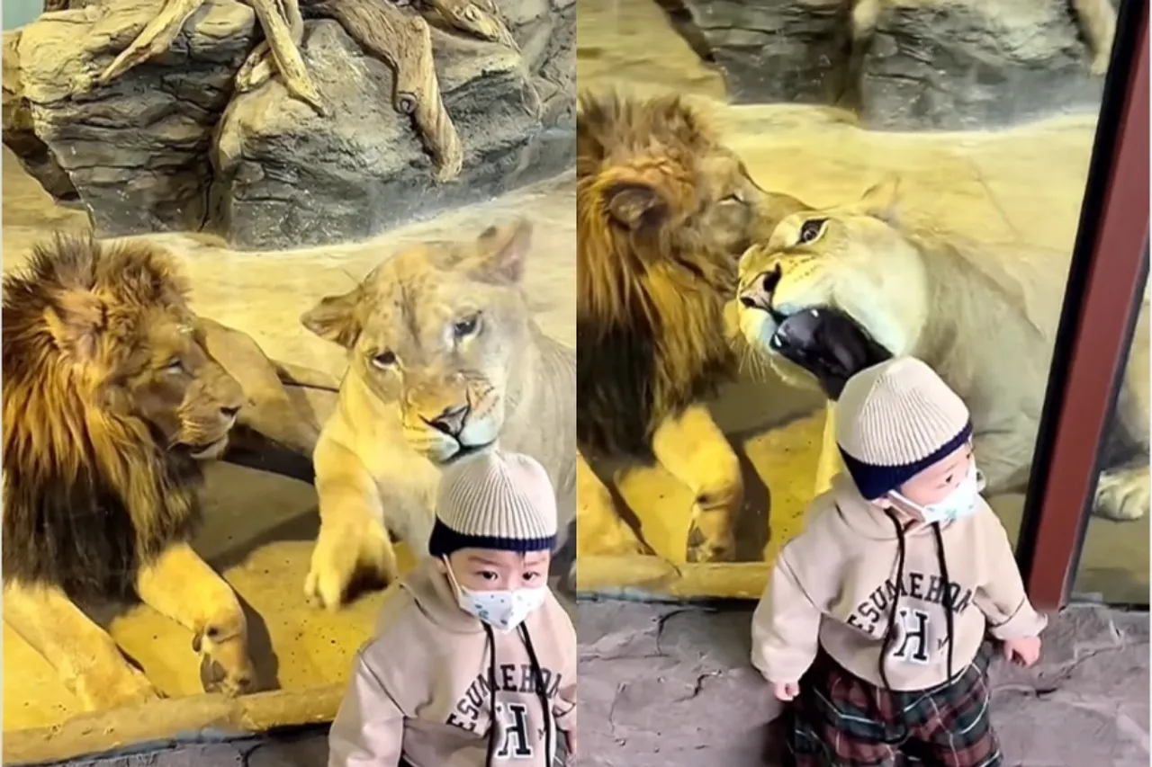Viral Video