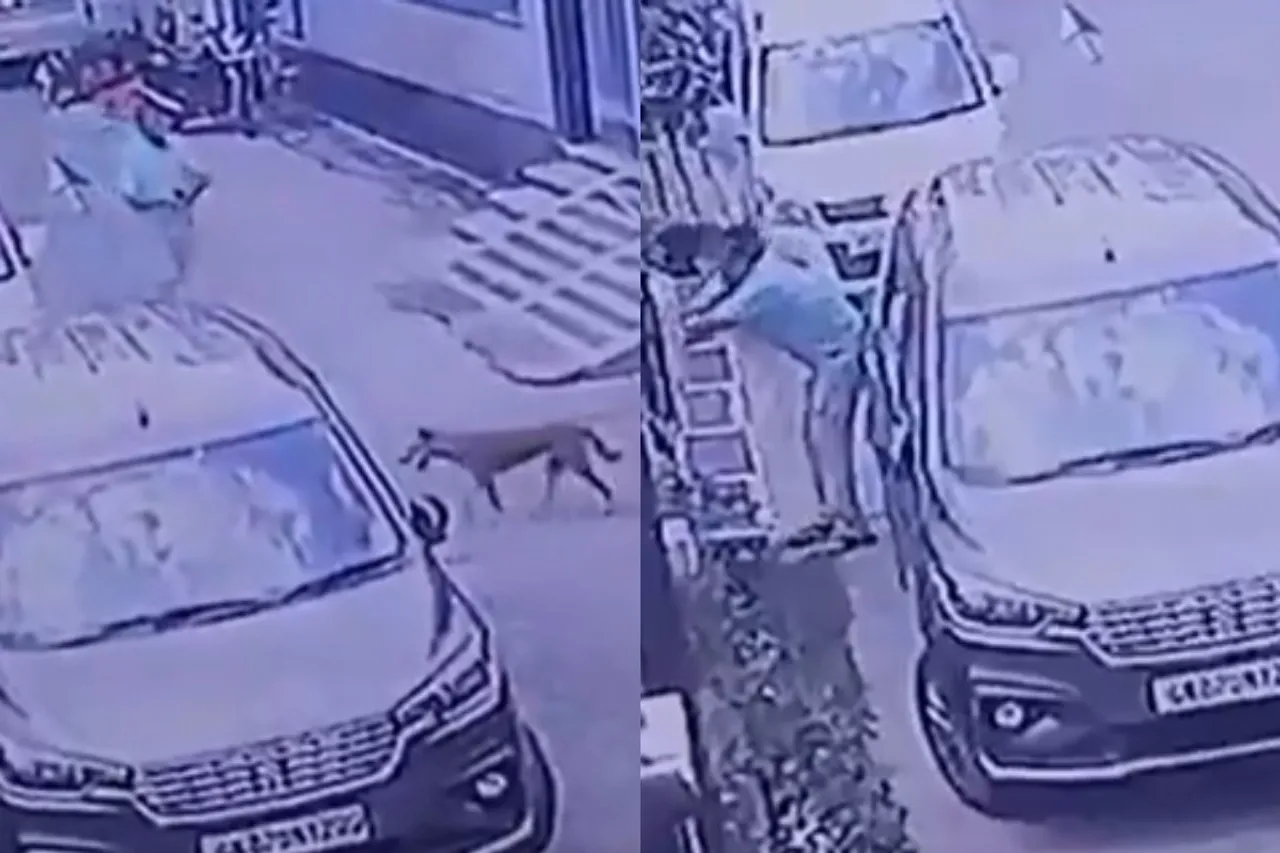 Bijnor Viral Video
