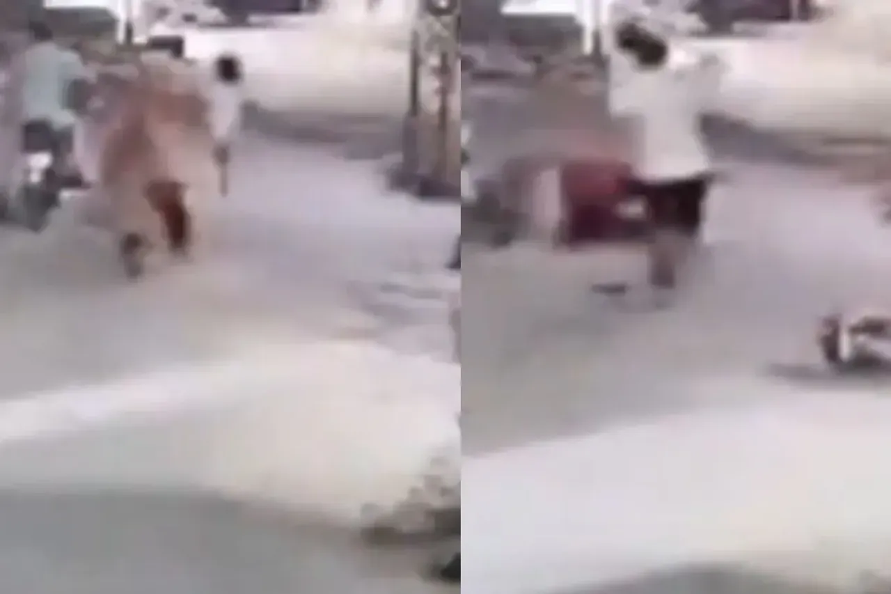 Lion assaults woman and children
