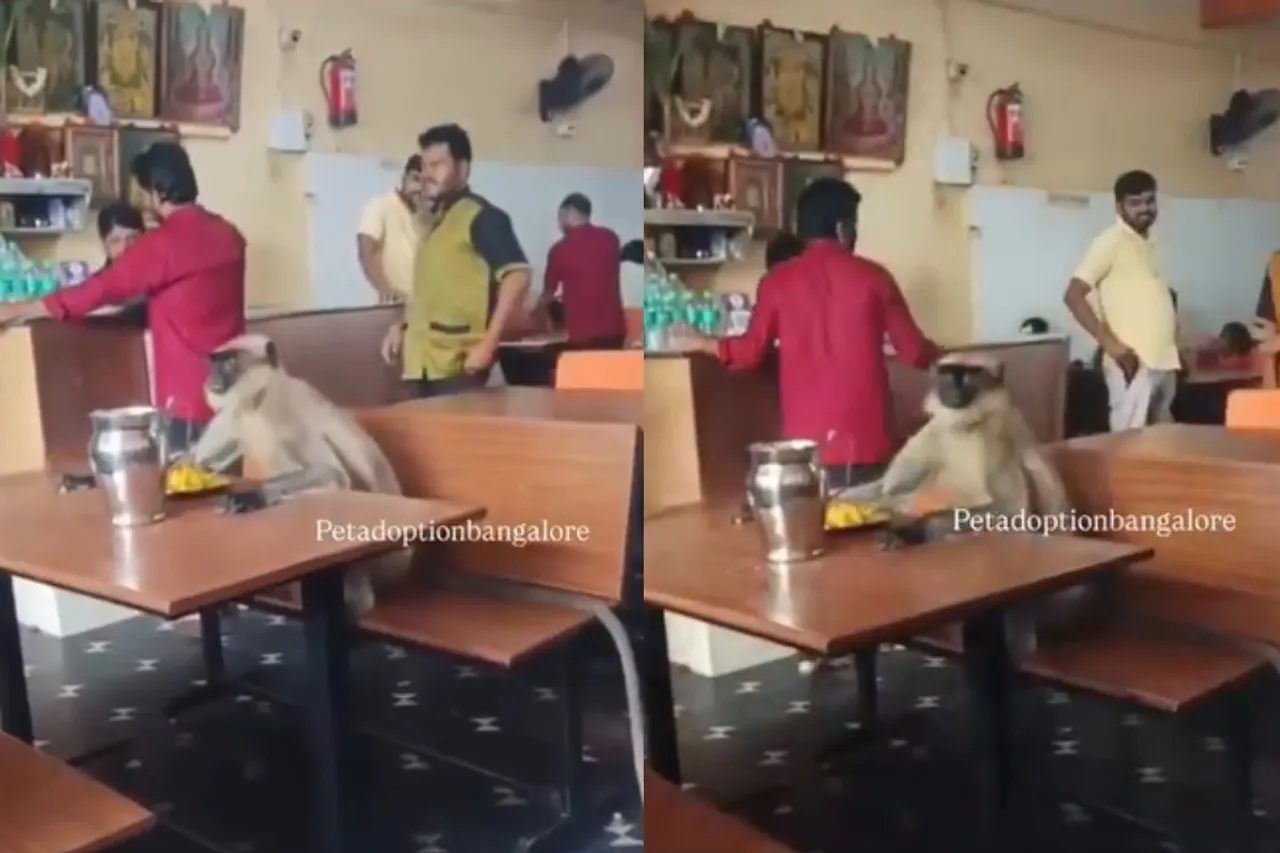 Viral Video