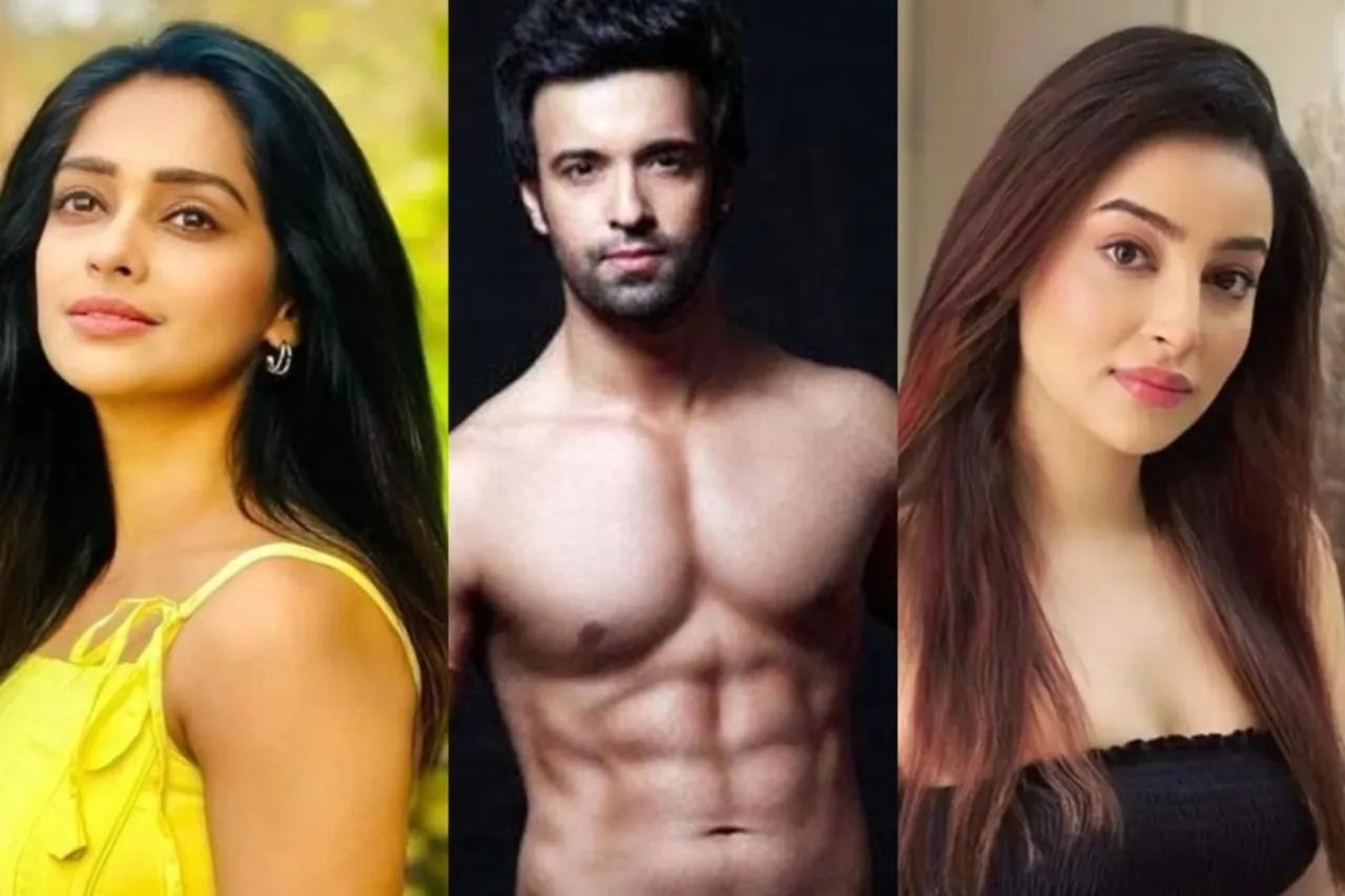 Bigg Boss 19 - Mugdha Chaphekar Aamir Ali and Chandni Sharma Aprroached