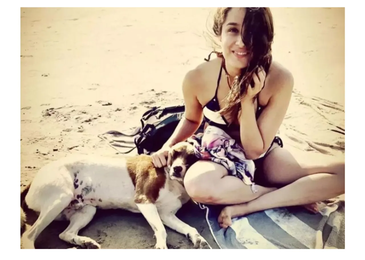 Shraddha Kapoor Donates And Urges Everyone To Contribute Towards Rehabilitation Of Animals