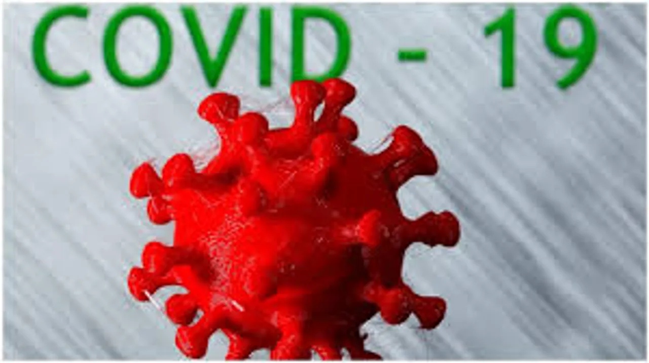 Brazil covid cases
