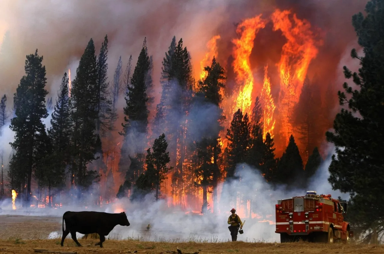 California wildfires: Record-breaking fires leave thousands homeless