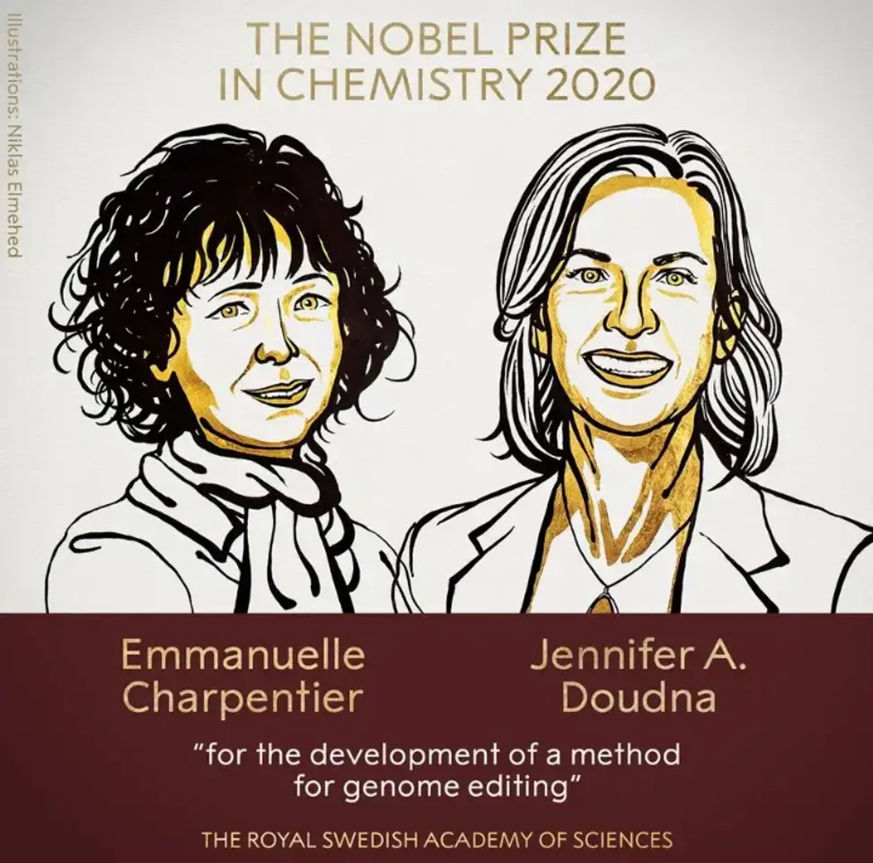 Nobel Chemistry prize