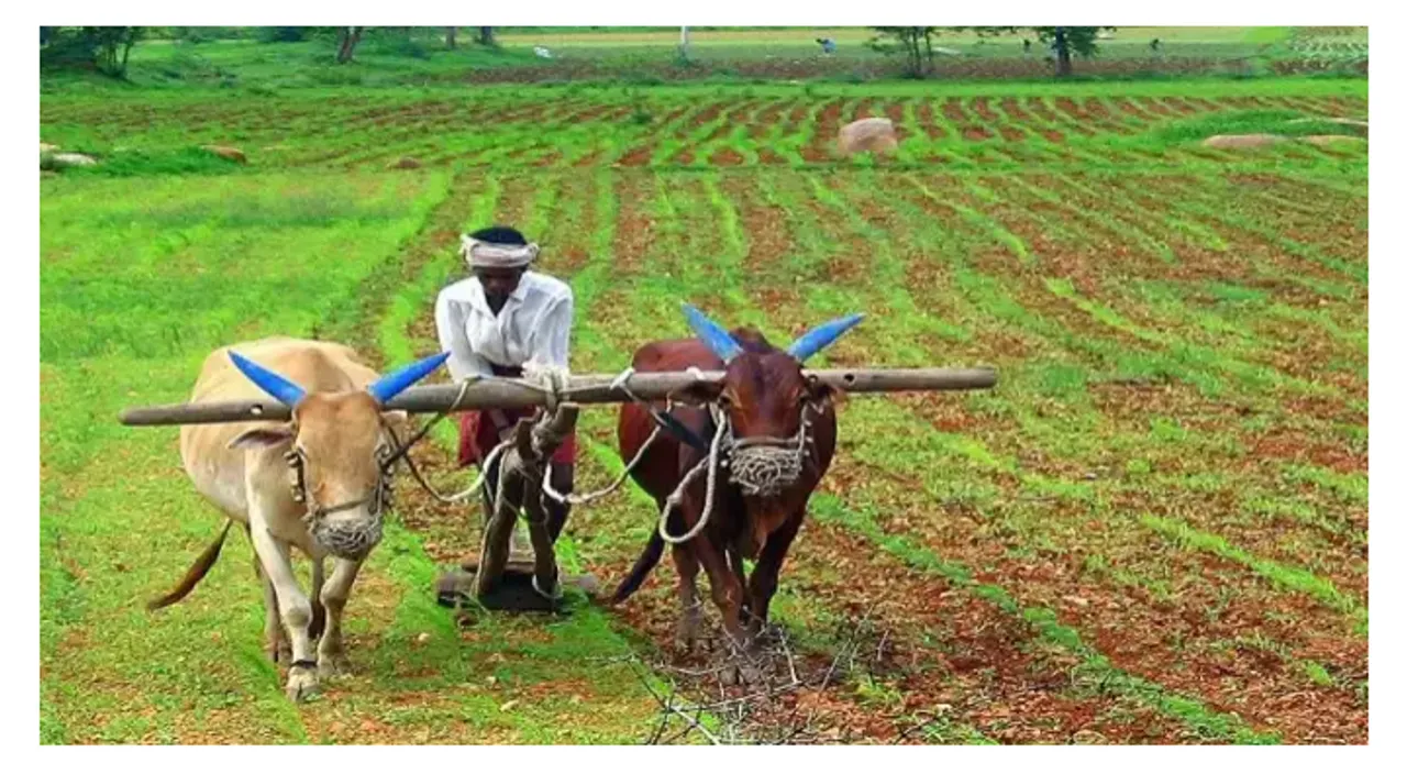 SC seeks Centre's response on pleas challenging farm laws