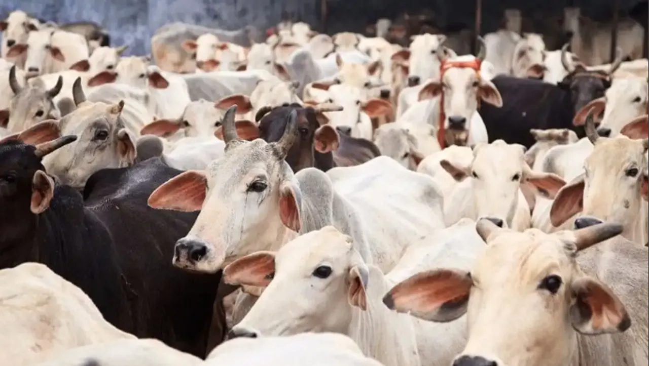Karnataka