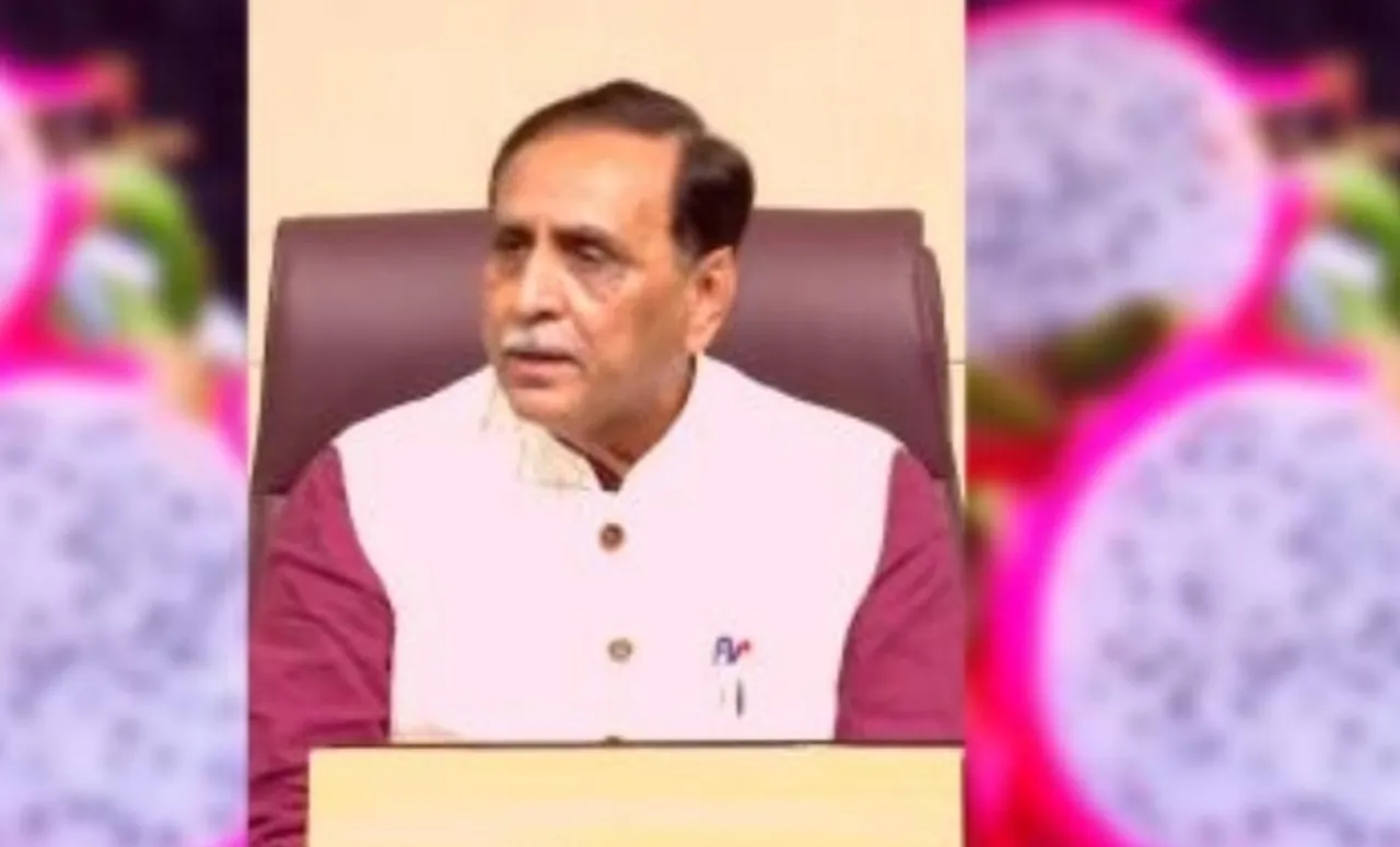 Gujarat: Dragon Fruit  renamed as 'Kamalam', announces CM Rupani