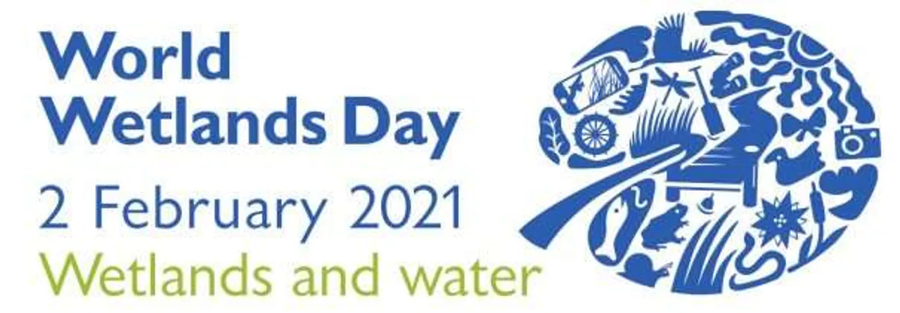 Wetland day