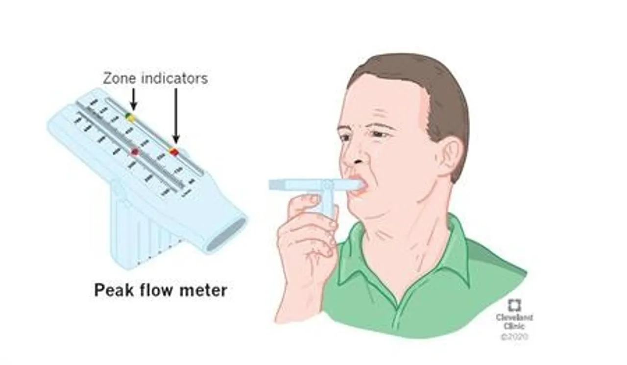 Peakmeter, Peakmeter use, Peak meter details,