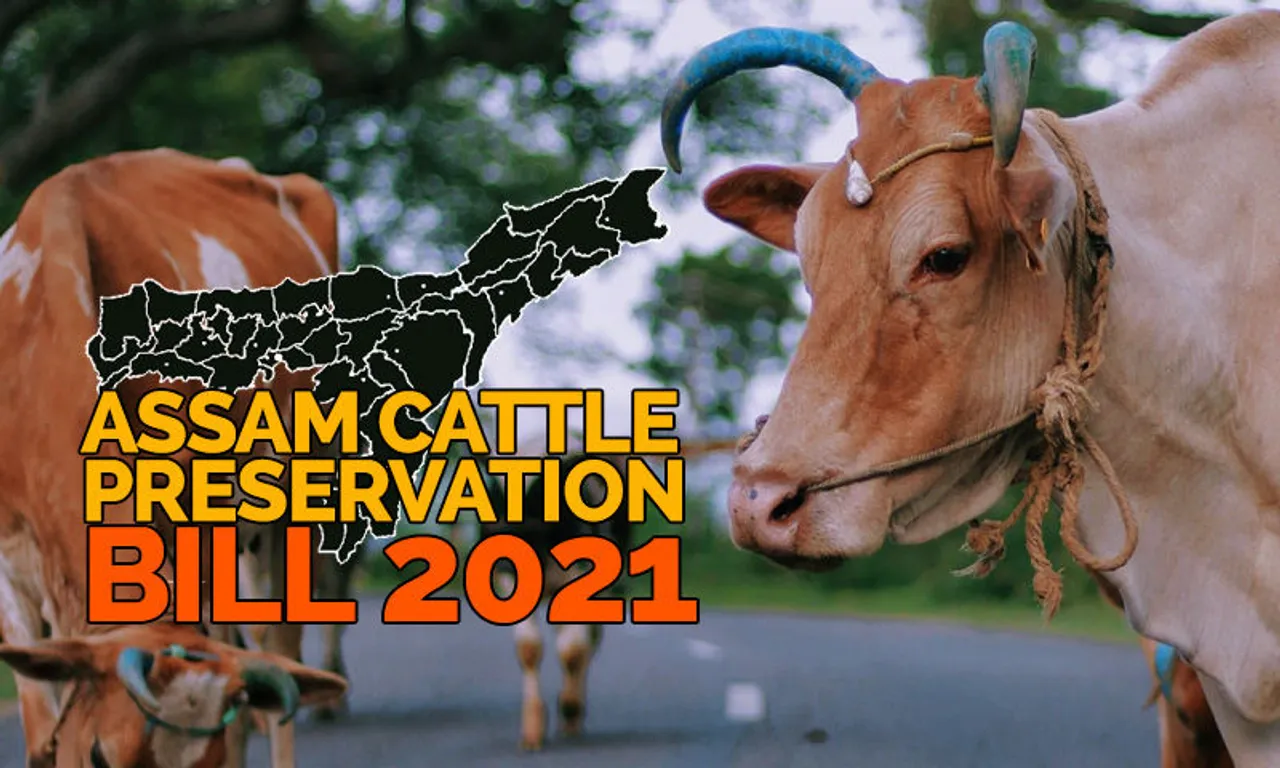 Cattle Bill, Assam Cattle Bill,