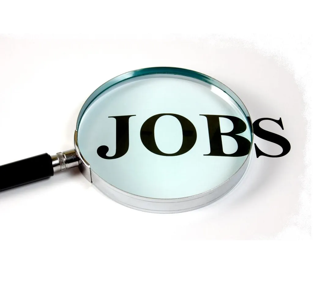 job alert detail information