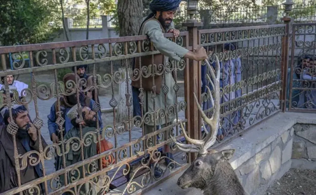 Taliban, Afghanistan,
