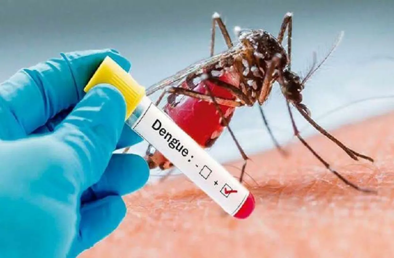 Dengue