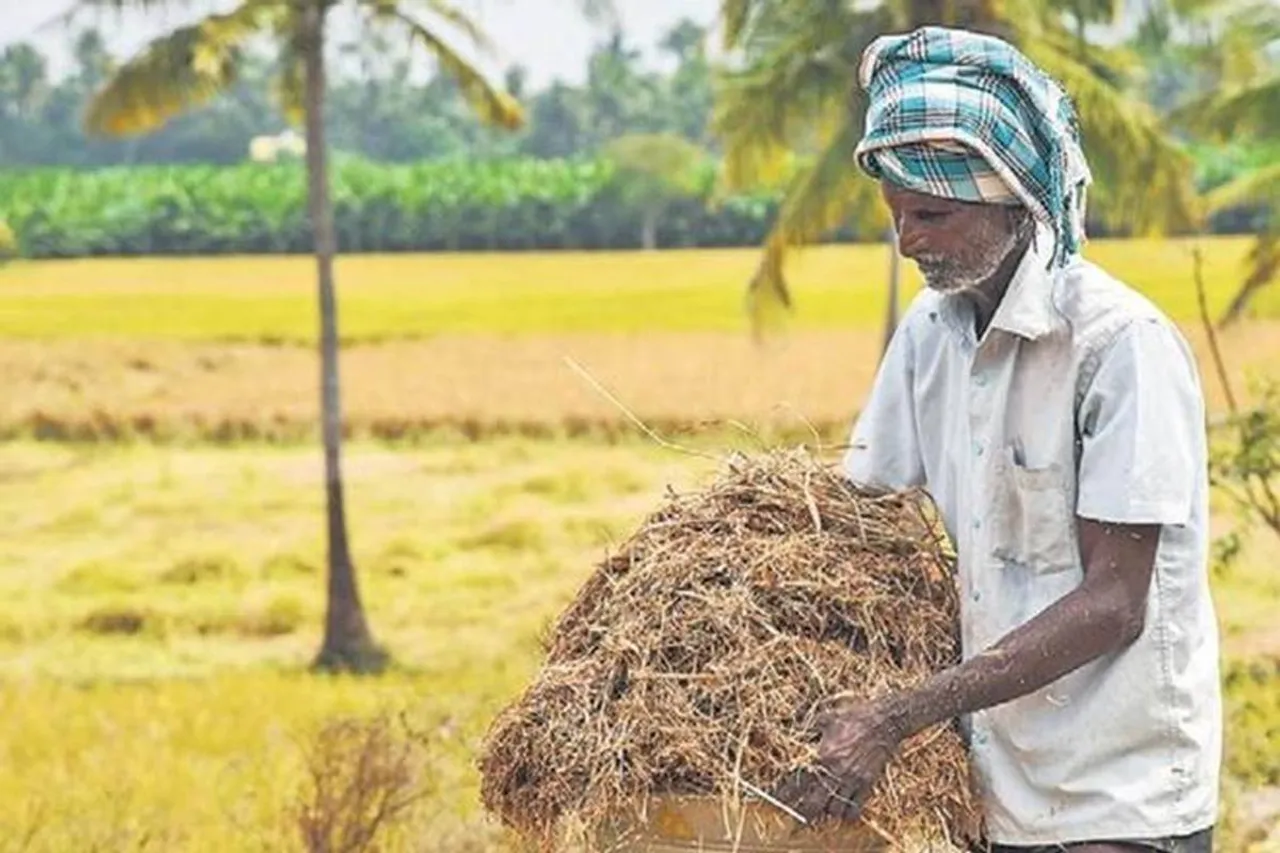 Paddy procurement
